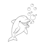 Dolphins thumbnail
