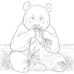 Oso Panda thumbnail