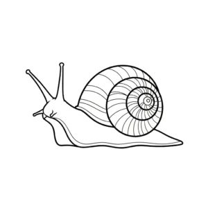 Caracol