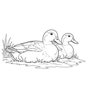 Patos