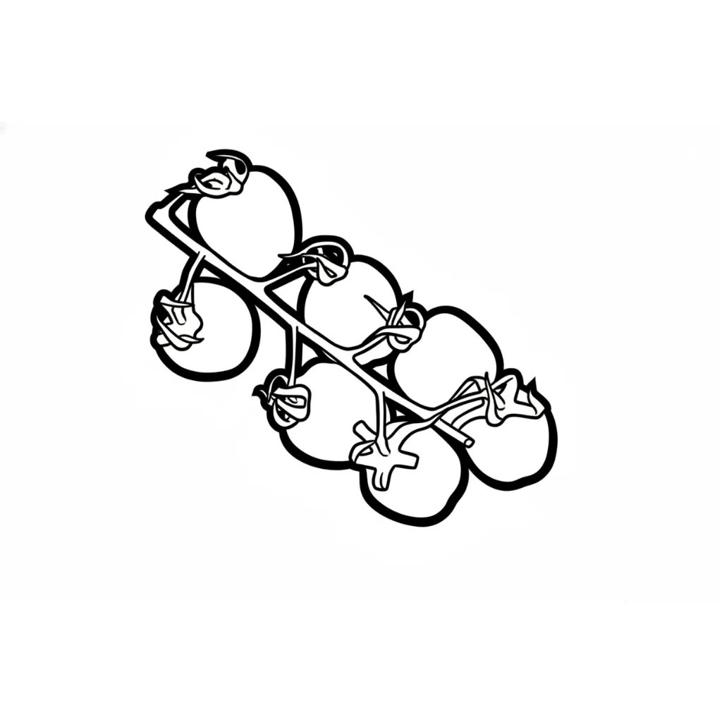 Tomate 4 para colorear para niños para descargar