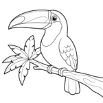 Tucan thumbnail
