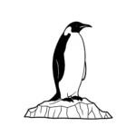 Pingüino thumbnail