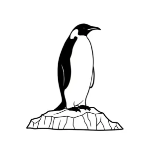 Pingüino thumbnail