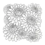 Flor De Margaritas thumbnail