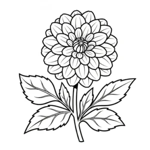 Flor de Dalia