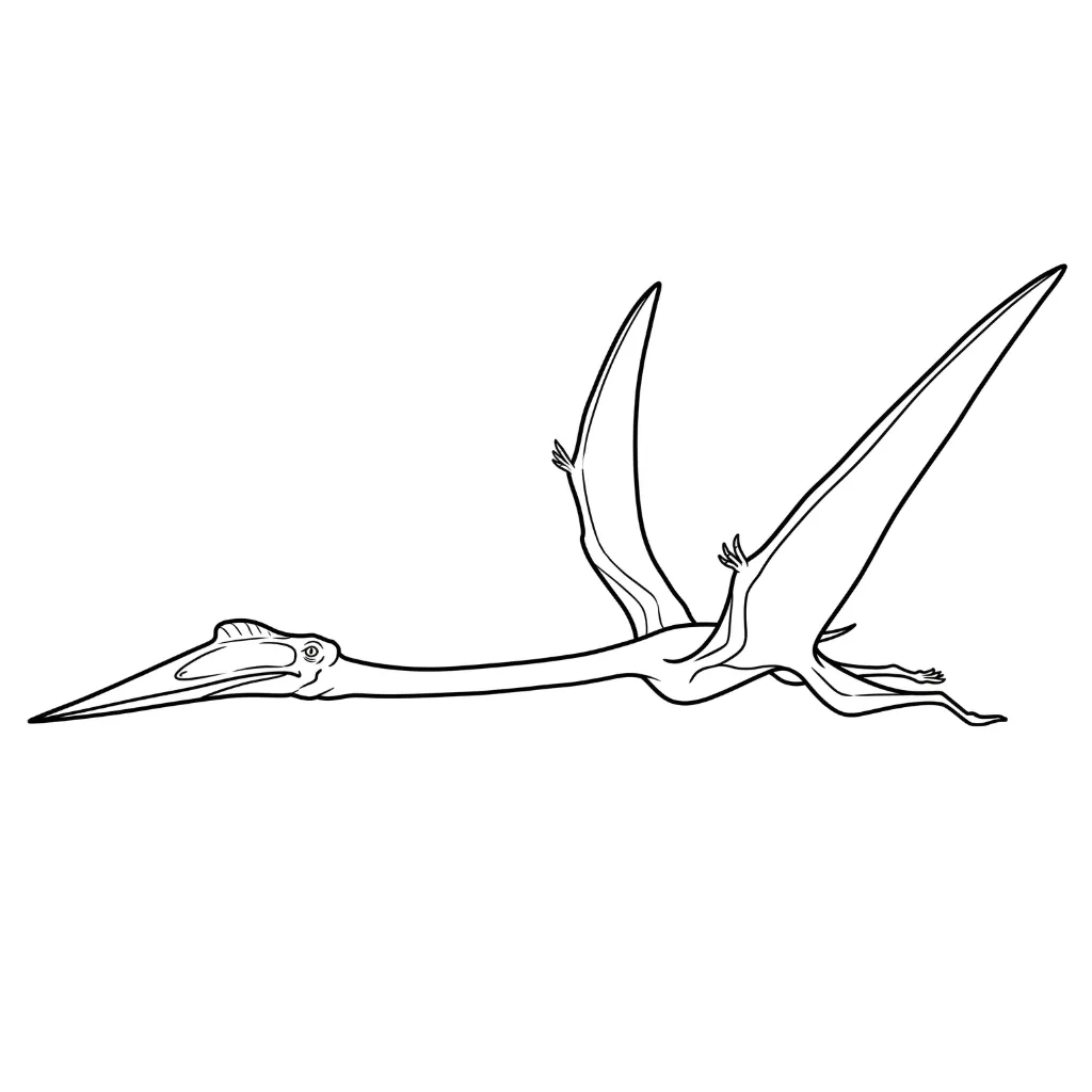 Pterodactyl 17 para colorear para imprimir gratis
