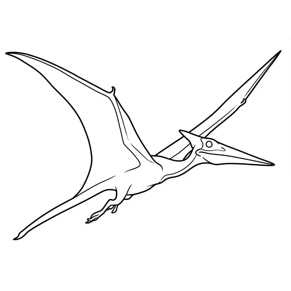 imprimir Pterodactyl 19 para colorear
