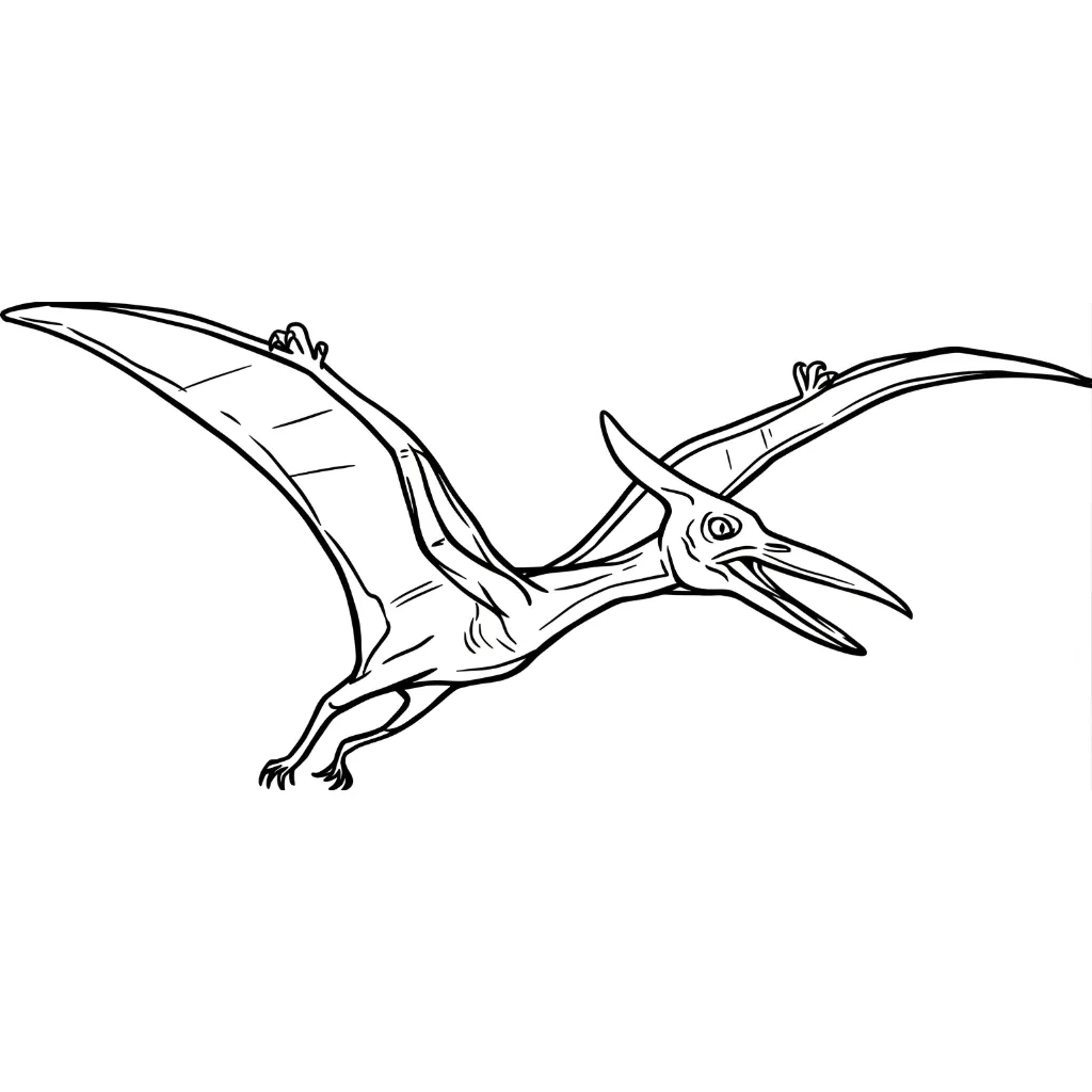 imagen de Pterodactyl 4 para colorear para niño