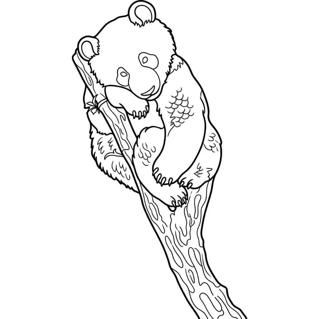 Osos Panda 21 para colorear para niño para imprimir gratis