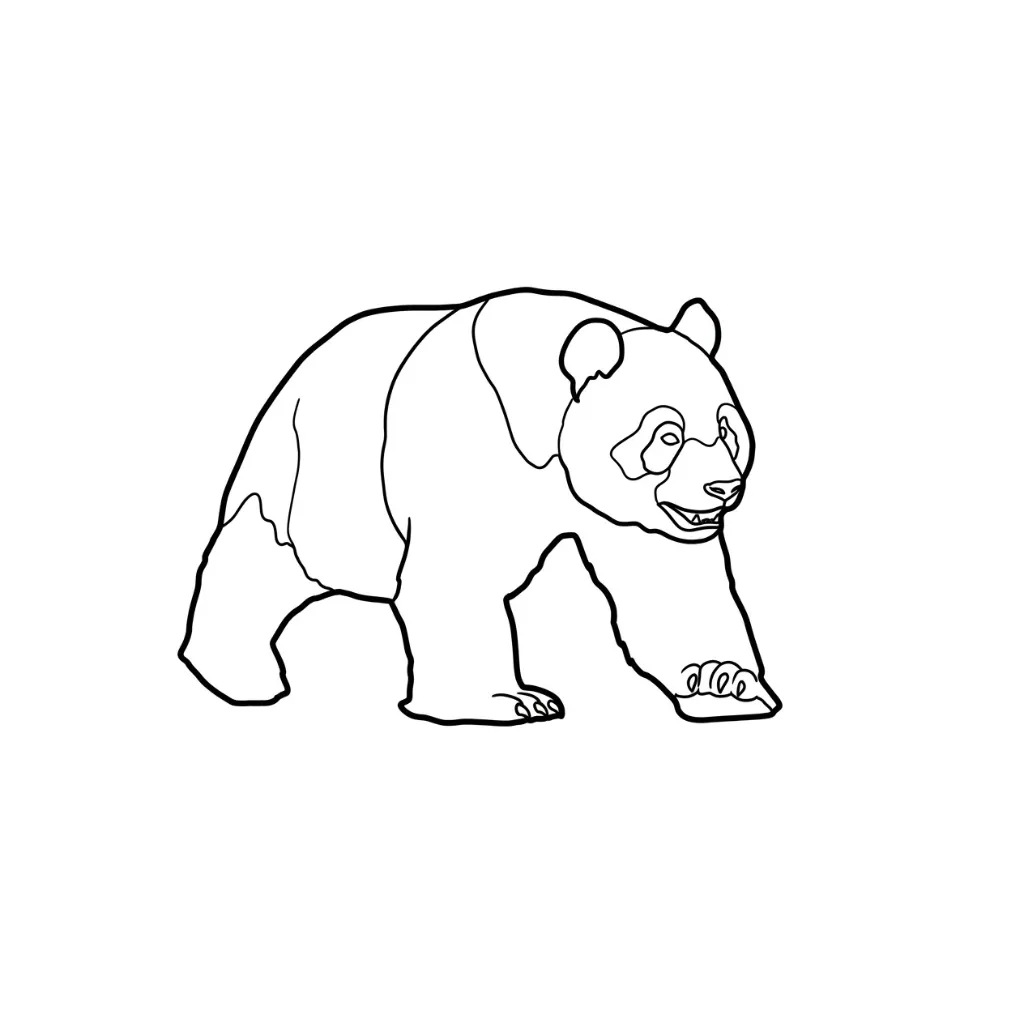 Osos Panda 6 para colorear para imprimir para niño de 3 años