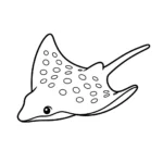 Mantarraya thumbnail