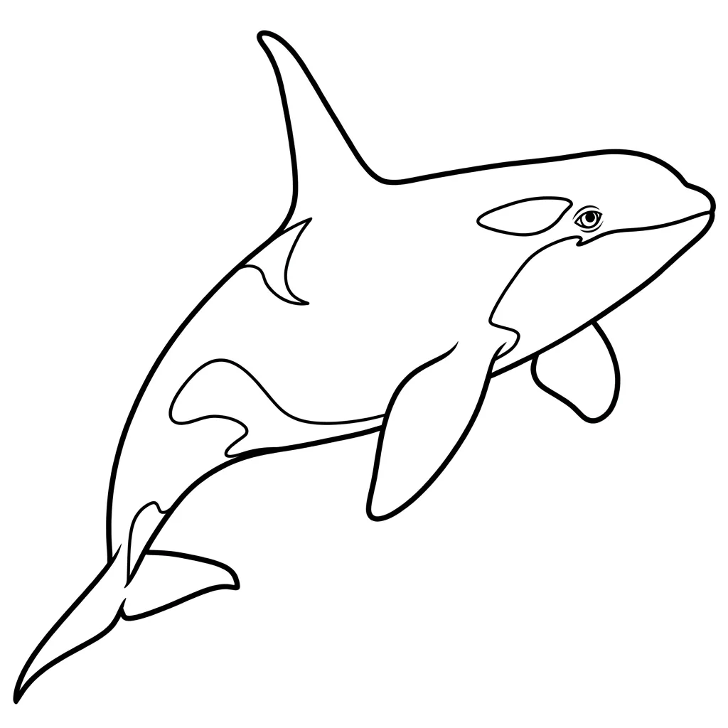 Orca 2 para colorear para imprimir pdf gratis